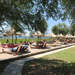 Shkodra 3*, Grile Albania